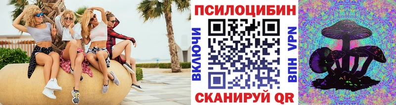 Купить закладки Новосибирск Галлюциногенные грибы Magic Shrooms